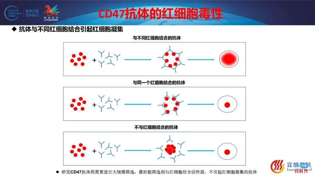 PPT ｜ 田文志博士、申华琼博士思南峰会CD47主题演讲资料