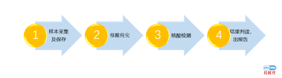 新冠病毒的核酸检测——科维思数字PCR将提供更全面的解决方案