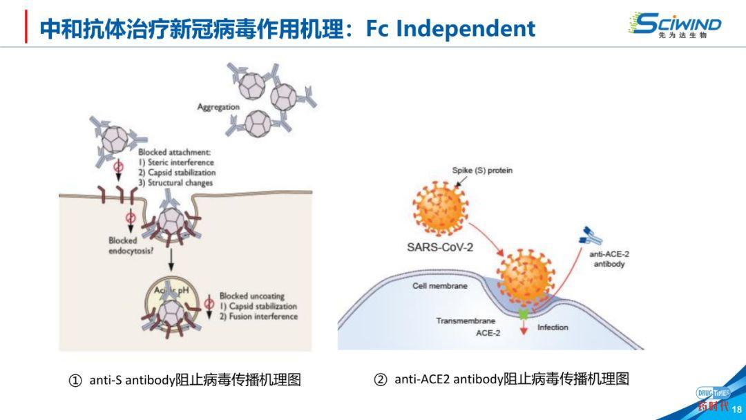 PPT下载 ｜ 生物大分子药物在新冠肺炎治疗中的应用