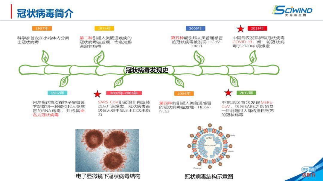 PPT下载 | 生物大分子药物在新冠肺炎治疗中的应用
