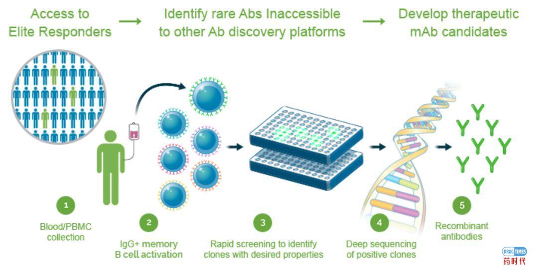 燃烧吧，小宇宙：Driver Antigen Engagement