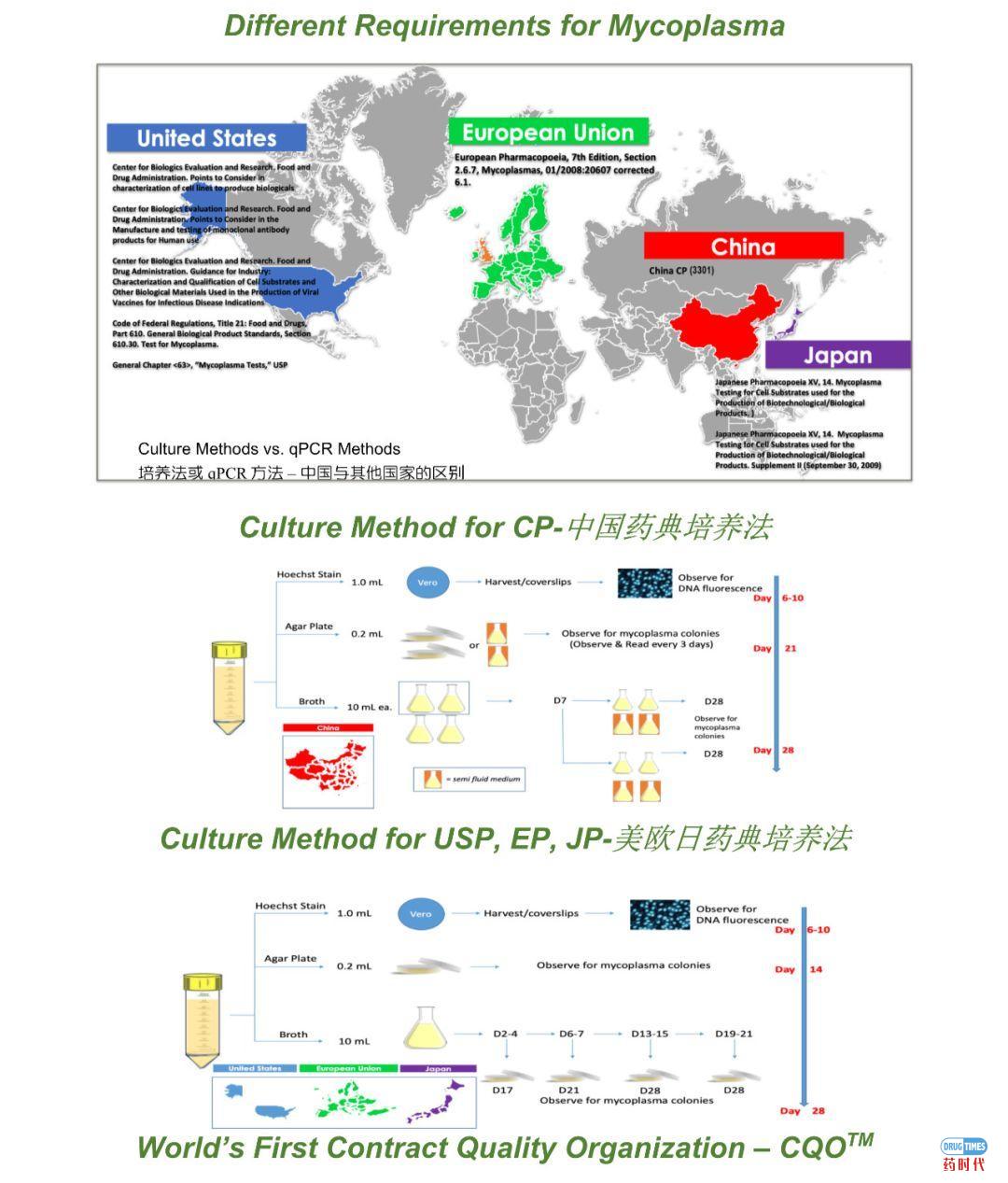 立足中国，满足全球GMP法规的支原体检测