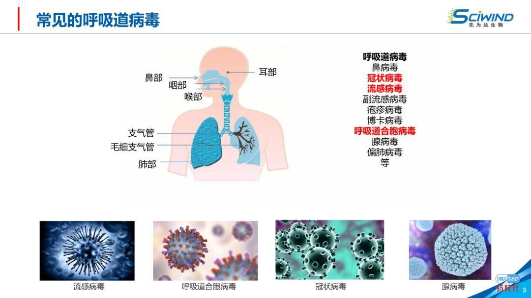 PPT下载 | 生物大分子药物在新冠肺炎治疗中的应用
