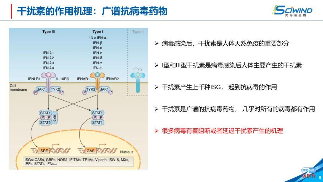 PPT下载 | 生物大分子药物在新冠肺炎治疗中的应用