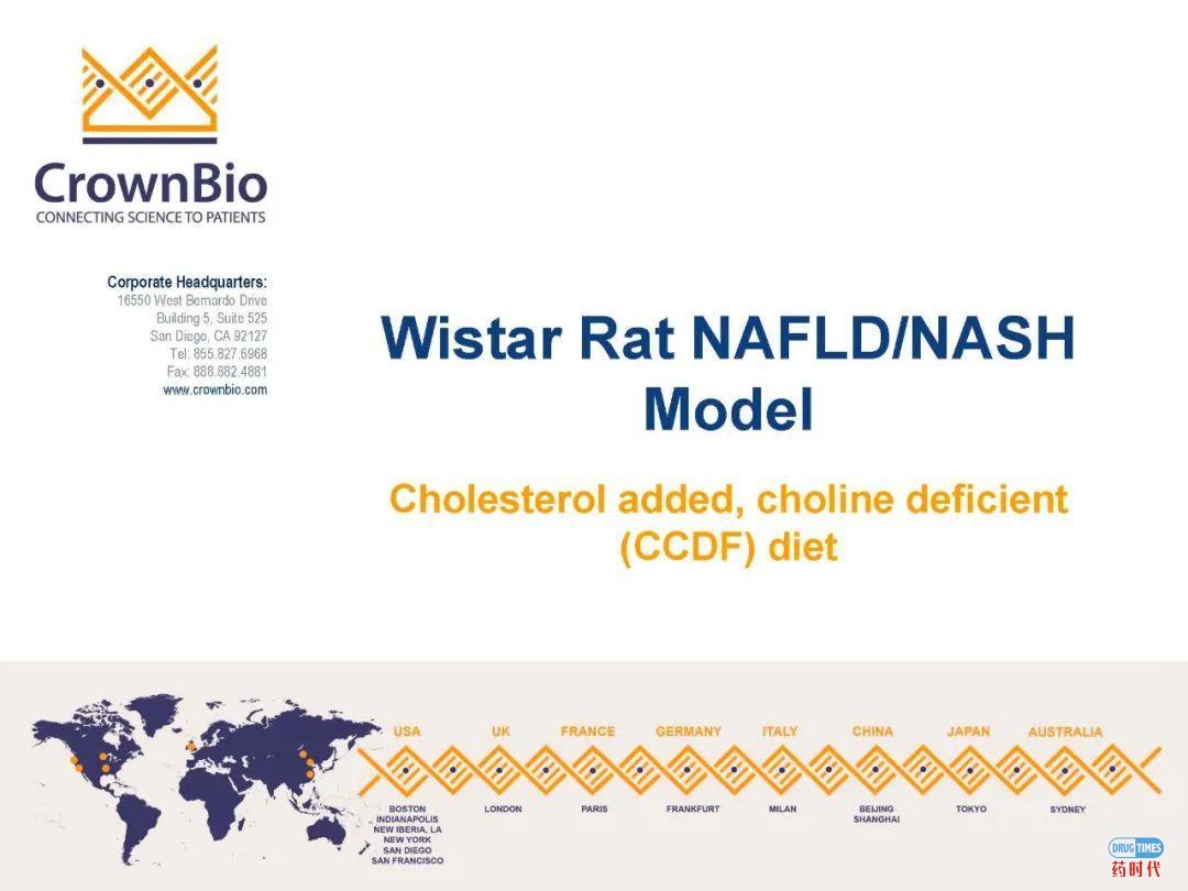 药时代直播间｜“NAFLD/NASH和纤维化转化性临床前动物模型：从啮齿类动物到非人类灵长类动物（NHP）”网络研讨会问题解答