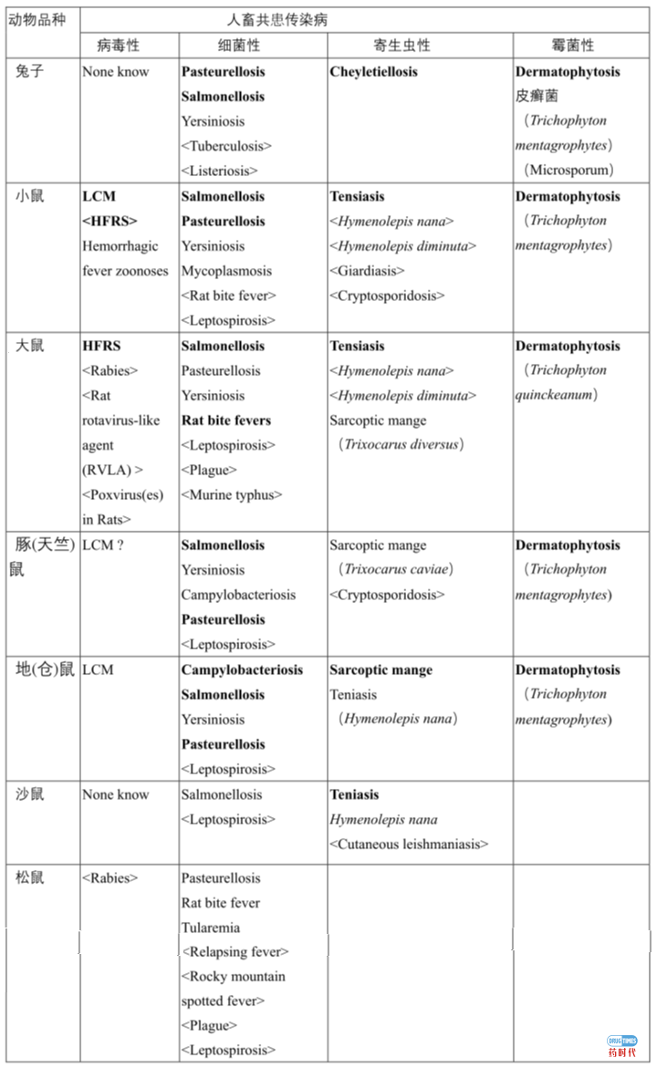 鼠及野生宠物人畜共患传染病介绍