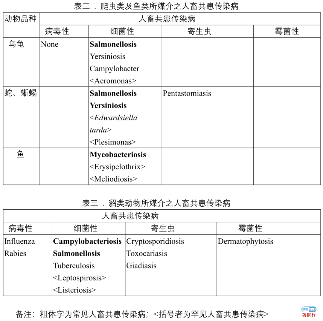 鼠及野生宠物人畜共患传染病介绍