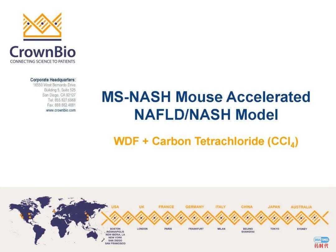 药时代直播间|“NAFLD/NASH和纤维化转化性临床前动物模型:从啮齿类动物到非人类灵长类动物(NHP)”网络研讨会问题解答