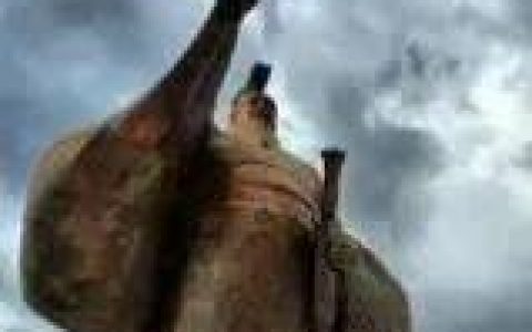 大风起兮药飞扬，同药盼兮好文章！