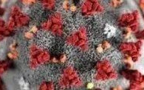 新冠病毒“后浪”不如“前浪”？一代不如一代？