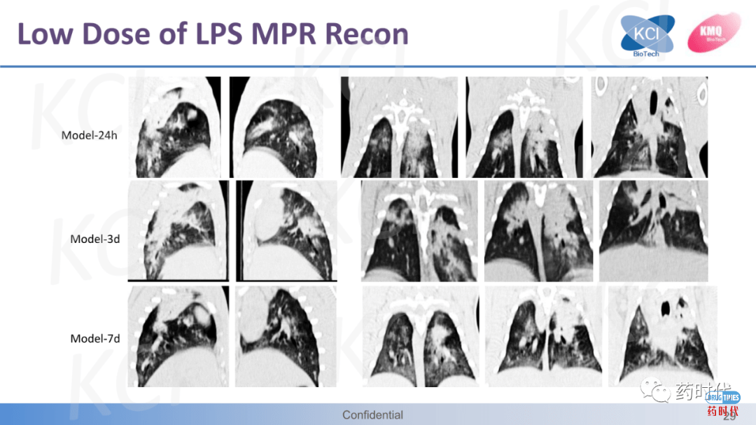 PPT分享 ｜ ​急性肺损伤与ARDS实验动物模型——从啮齿动物到兔的疾病模型比较