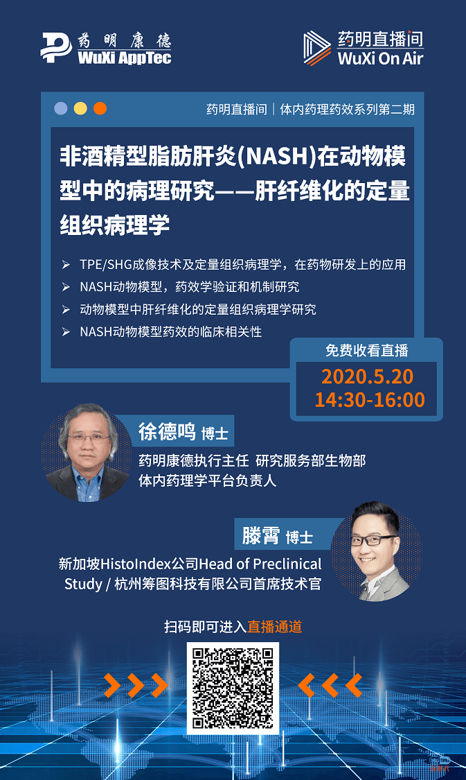 药明直播间 | 体内药理药效系列(二)：非酒精型脂肪肝炎(NASH)在动物模型中的病理研究——肝纤维化的定量组织病理学