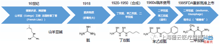 一药多靶点多机制？走在成为“神药”路上的白藜芦醇