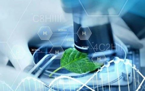 弯道超车的辉瑞/ BioNTech在新冠肺炎疫苗的冲刺阶段做出了意想不到的选择