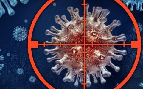 一种“病毒鸡尾酒”疗法，可以拯救糖尿病并发症