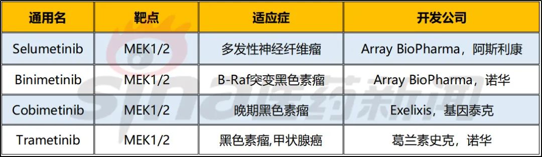RAS-RAF-MEK-ERK：经典肿瘤信号通路的全线药物