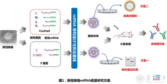 重磅！全球mRNA制药全景图