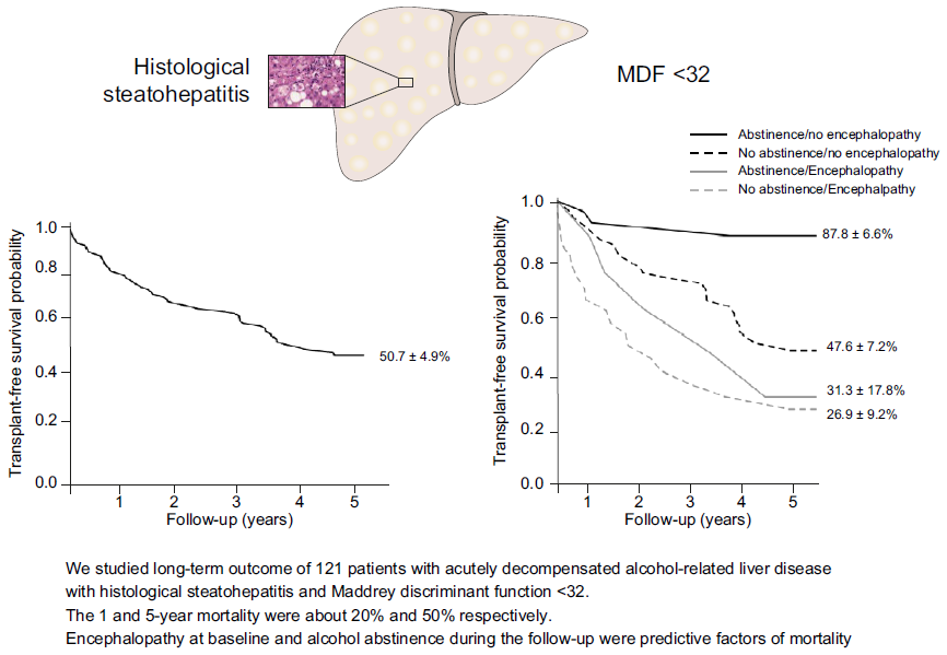 J Hepatol：Maddrey评分<32分且病理提示存在脂肪性肝炎的酒精性肝病患者长期预后特点