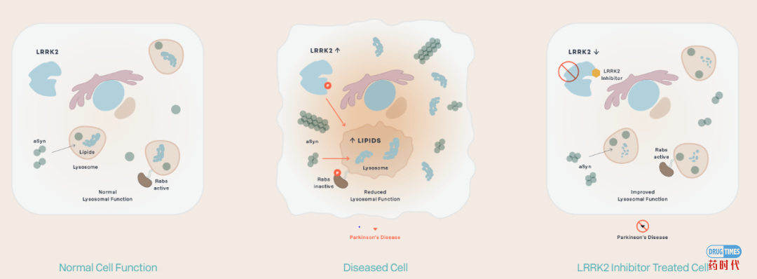 进击的LRRK2—筹码加大，渤健下注10亿美元，牵手神经科学新锐Denali