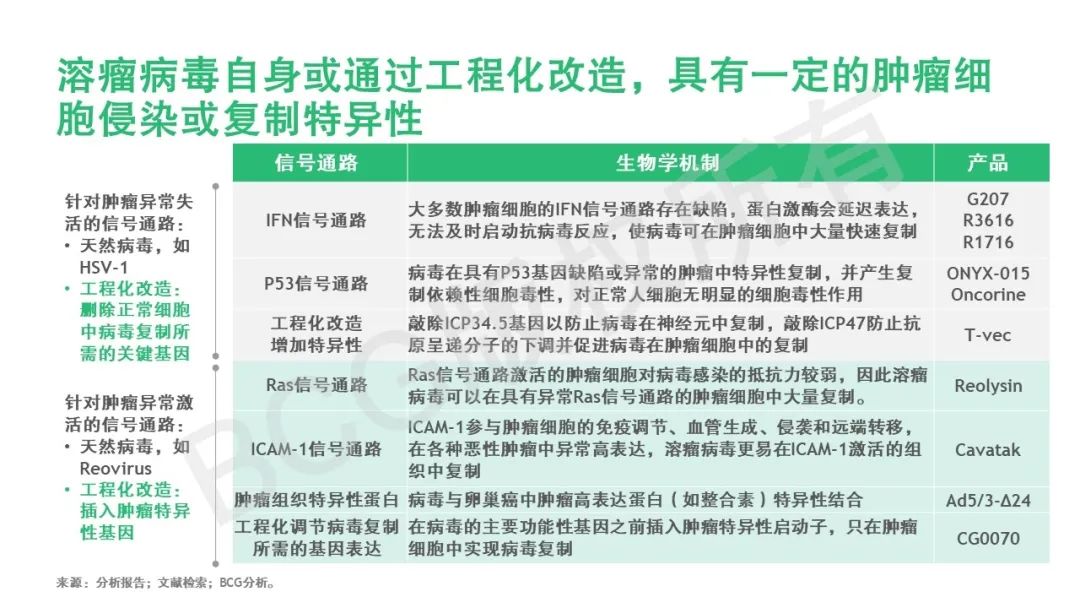 溶瘤病毒：不断改良的自然肿瘤杀手