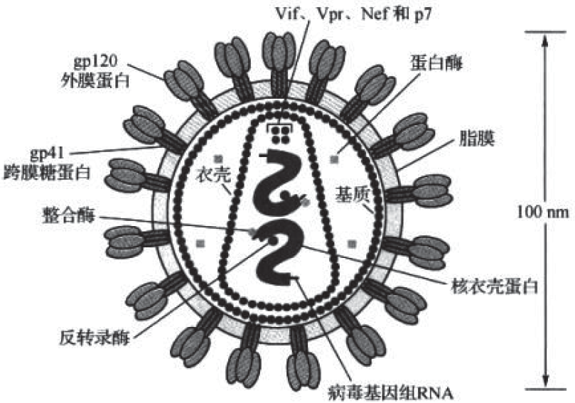 抗HIV病毒市场纵览