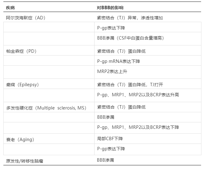 血脑屏障：中枢药物研发之痛 --- CNS药物开发中的DMPK评价