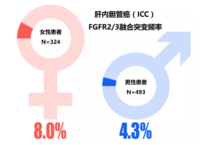 万例癌症患者数据+双检测技术，至本医疗“一站式”解决方案助力FGFR靶向药上市进程