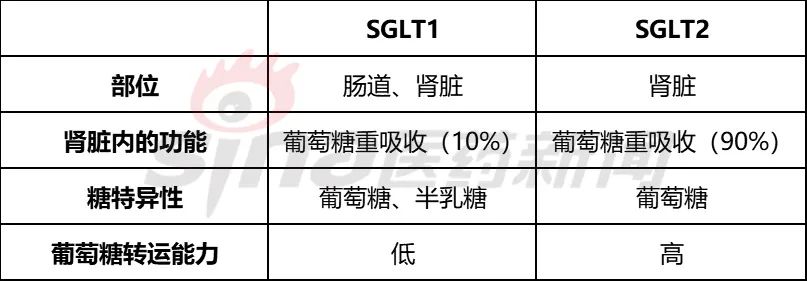 SGLT-2抑制剂，再不加速就老了