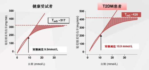 SGLT-2抑制剂，再不加速就老了