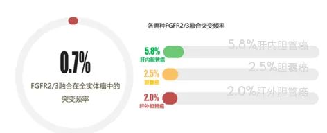 万例癌症患者数据+双检测技术，至本医疗“一站式”解决方案助力FGFR靶向药上市进程