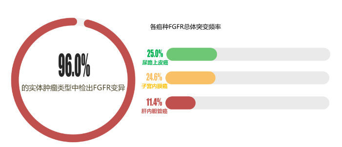 万例癌症患者数据+双检测技术，至本医疗“一站式”解决方案助力FGFR靶向药上市进程