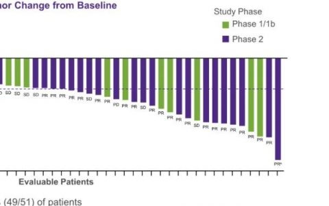 PPT分享 | KRAS抑制剂发力！ORR达45%，DCR达96%！Adagrasib单药治疗晚期非小细胞肺癌最新数据公布