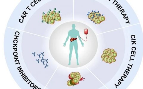 ​联盟喜讯｜复旦大学基础医学院吴健课题组在《BBA Reviews on Cancer》发表进展期肝癌免疫治疗进展评述