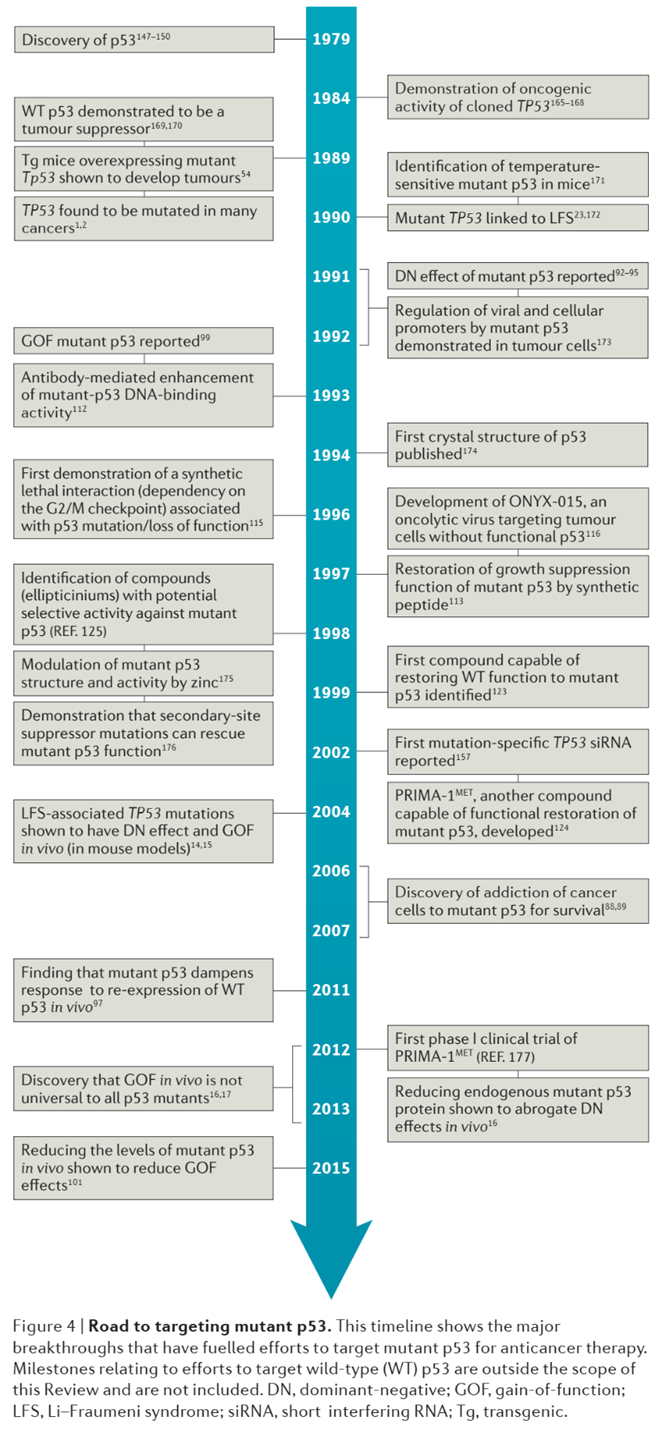p53靶向药研发进展：何时缚住苍龙？