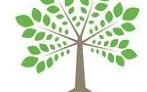 美国礼来与万春医药子公司Seed Therapeutics合作开发泛素化靶向蛋白质降解新药