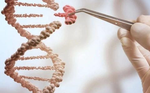 NCI科学家阐述肿瘤治疗特殊反应者产生的分子基础，为精准治疗提供新线索