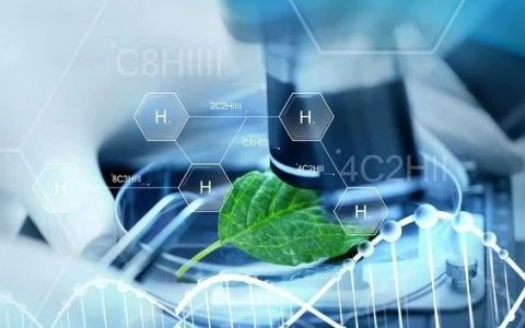 安全！光可控！| CAR-T疗法安全性研究的最新进展