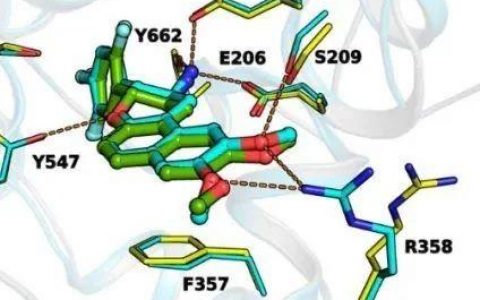 1类口服降糖新药马来酸博格列汀片获准进入临床研究
