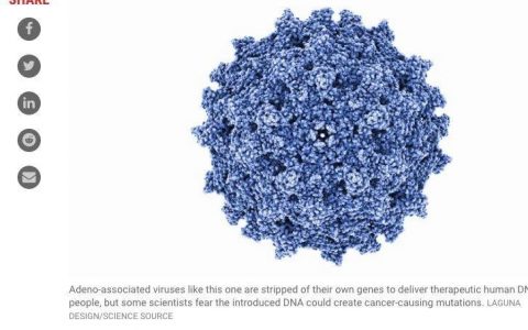独家｜基因治疗载体AAV“安全神话破灭”？6位专家全方位解读：太炒作了，别因噎废食