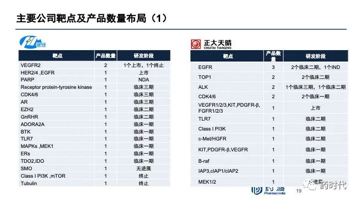 PPT分享｜李靖博士：中国未来十年抗肿瘤小分子药物的研发布局