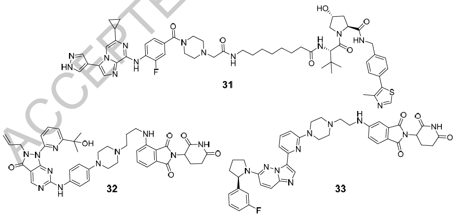 总结 | 各类靶点的PROTAC专利布局概述