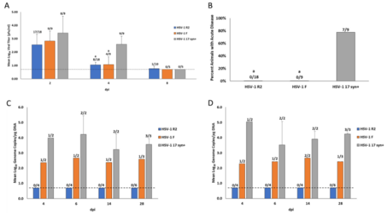 NPJ VACCINES | 让病毒卡在神经末梢，新型疱疹病毒疫苗显示出意想不到的效果