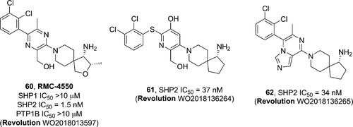 下一个重磅炸弹：SHP2抑制剂研发进展