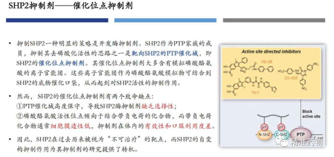 下一个重磅炸弹：SHP2抑制剂研发进展