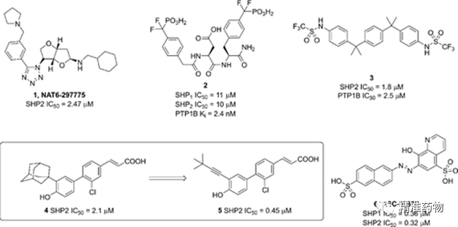 下一个重磅炸弹：SHP2抑制剂研发进展