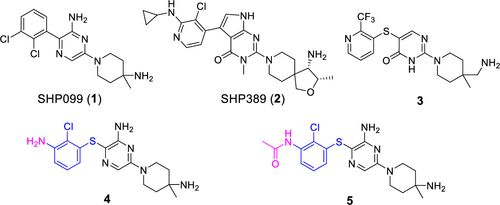 下一个重磅炸弹：SHP2抑制剂研发进展