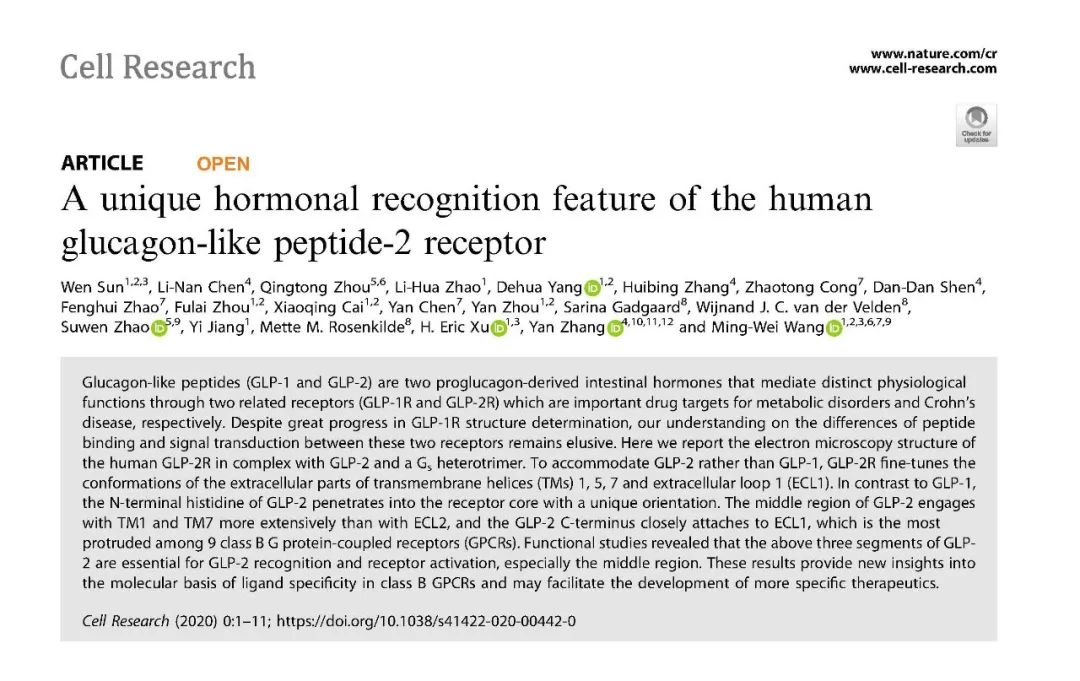 Cell Research | 人源胰高血糖素样肽-2受体复合物三维结构成功解析