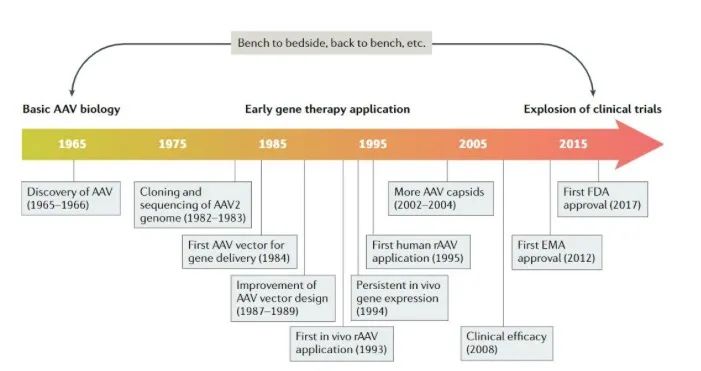 独家｜基因治疗载体AAV“安全神话破灭”？6位专家全方位解读：太炒作了，别因噎废食