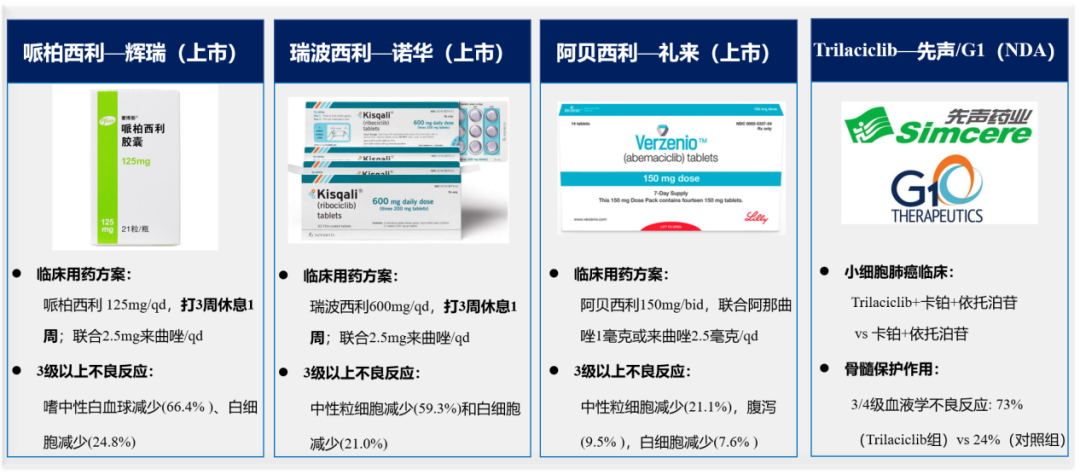 CDK4/6：先声药业在研管线又一颗新星