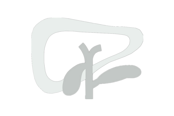 临床肝胆病杂志logo(白色).png 专家论坛|徐立:肝细胞癌综合治疗进展